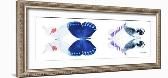 Miss Butterfly X-Ray Duo White Pano VIII-Philippe Hugonnard-Framed Photographic Print