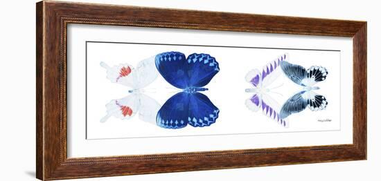 Miss Butterfly X-Ray Duo White Pano VIII-Philippe Hugonnard-Framed Photographic Print