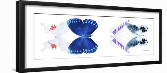 Miss Butterfly X-Ray Duo White Pano VIII-Philippe Hugonnard-Framed Photographic Print