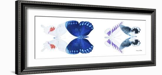 Miss Butterfly X-Ray Duo White Pano VIII-Philippe Hugonnard-Framed Photographic Print