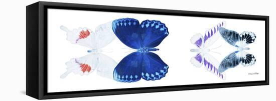 Miss Butterfly X-Ray Duo White Pano VIII-Philippe Hugonnard-Framed Premier Image Canvas