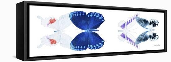 Miss Butterfly X-Ray Duo White Pano VIII-Philippe Hugonnard-Framed Stretched Canvas