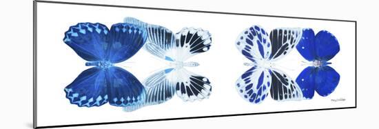 Miss Butterfly X-Ray Duo White Pano X-Philippe Hugonnard-Mounted Premium Photographic Print