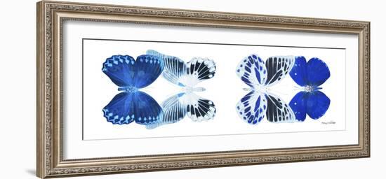 Miss Butterfly X-Ray Duo White Pano X-Philippe Hugonnard-Framed Photographic Print