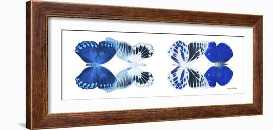 Miss Butterfly X-Ray Duo White Pano X-Philippe Hugonnard-Framed Photographic Print