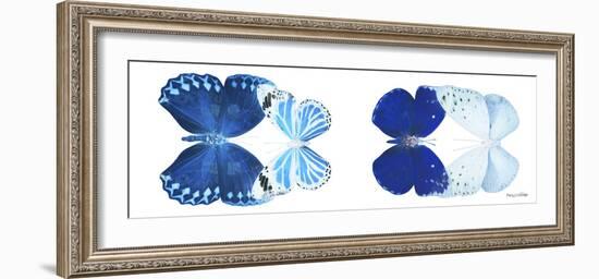 Miss Butterfly X-Ray Duo White Pano XI-Philippe Hugonnard-Framed Photographic Print