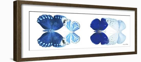 Miss Butterfly X-Ray Duo White Pano XI-Philippe Hugonnard-Framed Photographic Print