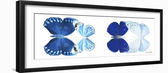 Miss Butterfly X-Ray Duo White Pano XI-Philippe Hugonnard-Framed Photographic Print