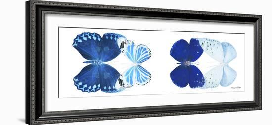 Miss Butterfly X-Ray Duo White Pano XI-Philippe Hugonnard-Framed Photographic Print