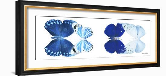 Miss Butterfly X-Ray Duo White Pano XI-Philippe Hugonnard-Framed Photographic Print