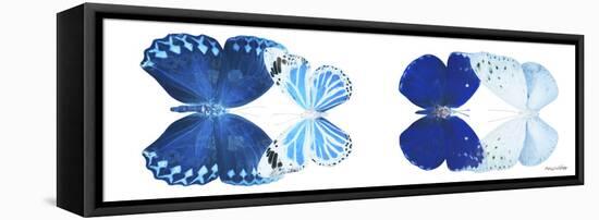 Miss Butterfly X-Ray Duo White Pano XI-Philippe Hugonnard-Framed Stretched Canvas