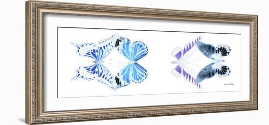 Miss Butterfly X-Ray Duo White Pano XII-Philippe Hugonnard-Framed Photographic Print