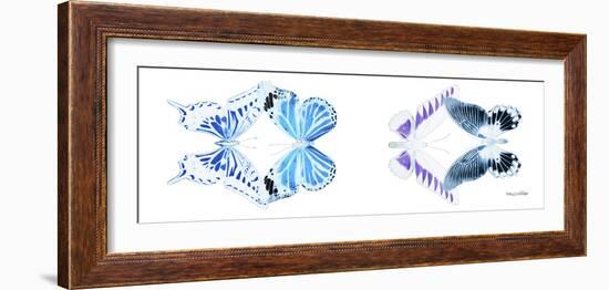 Miss Butterfly X-Ray Duo White Pano XII-Philippe Hugonnard-Framed Photographic Print