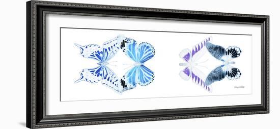 Miss Butterfly X-Ray Duo White Pano XII-Philippe Hugonnard-Framed Photographic Print