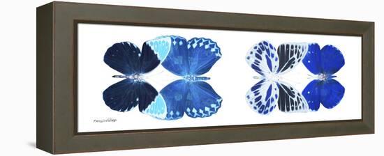 Miss Butterfly X-Ray Duo White Pano XIII-Philippe Hugonnard-Framed Premier Image Canvas