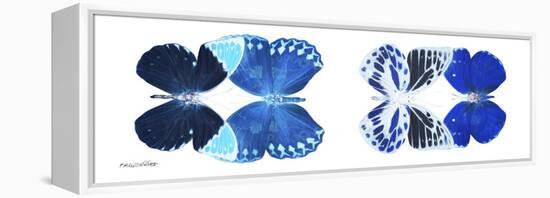 Miss Butterfly X-Ray Duo White Pano XIII-Philippe Hugonnard-Framed Premier Image Canvas