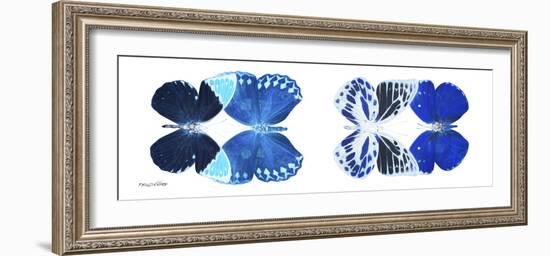 Miss Butterfly X-Ray Duo White Pano XIII-Philippe Hugonnard-Framed Photographic Print