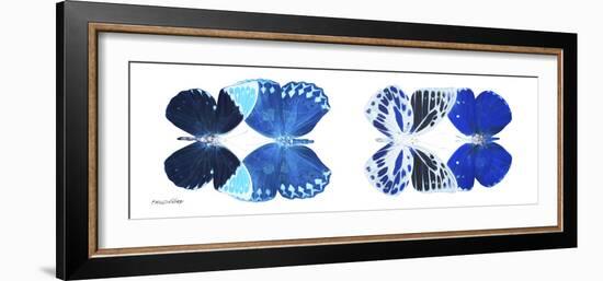 Miss Butterfly X-Ray Duo White Pano XIII-Philippe Hugonnard-Framed Photographic Print