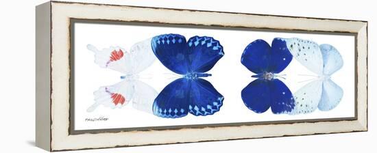 Miss Butterfly X-Ray Duo White Pano-Philippe Hugonnard-Framed Premier Image Canvas