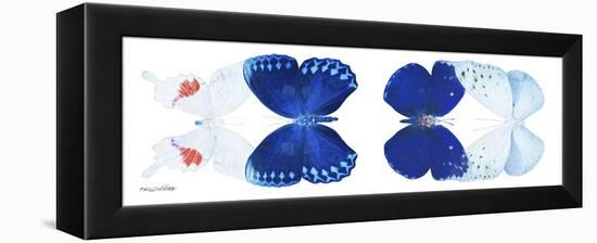 Miss Butterfly X-Ray Duo White Pano-Philippe Hugonnard-Framed Premier Image Canvas