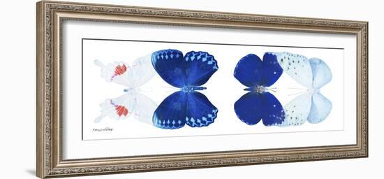 Miss Butterfly X-Ray Duo White Pano-Philippe Hugonnard-Framed Photographic Print