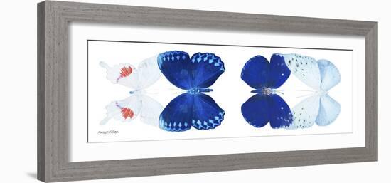 Miss Butterfly X-Ray Duo White Pano-Philippe Hugonnard-Framed Photographic Print