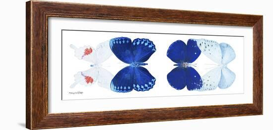 Miss Butterfly X-Ray Duo White Pano-Philippe Hugonnard-Framed Photographic Print