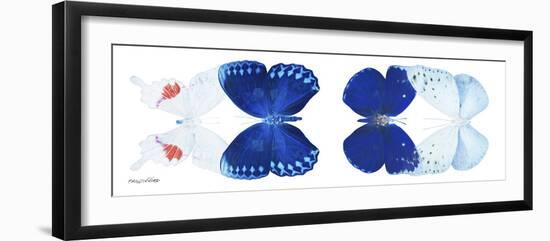 Miss Butterfly X-Ray Duo White Pano-Philippe Hugonnard-Framed Photographic Print