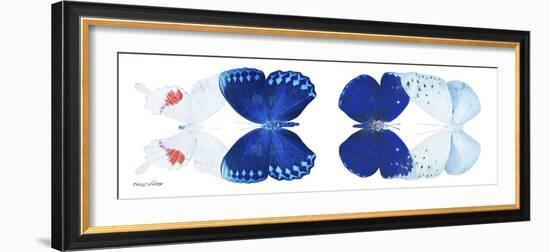 Miss Butterfly X-Ray Duo White Pano-Philippe Hugonnard-Framed Photographic Print