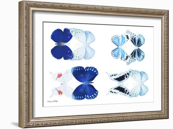 Miss Butterfly X-Ray Duo White V-Philippe Hugonnard-Framed Photographic Print