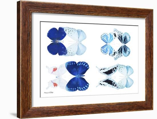 Miss Butterfly X-Ray Duo White V-Philippe Hugonnard-Framed Photographic Print
