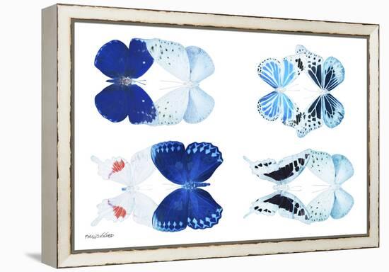 Miss Butterfly X-Ray Duo White V-Philippe Hugonnard-Framed Premier Image Canvas