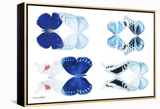 Miss Butterfly X-Ray Duo White V-Philippe Hugonnard-Framed Premier Image Canvas