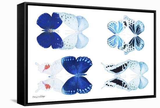 Miss Butterfly X-Ray Duo White V-Philippe Hugonnard-Framed Stretched Canvas