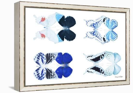 Miss Butterfly X-Ray Duo White VI-Philippe Hugonnard-Framed Premier Image Canvas