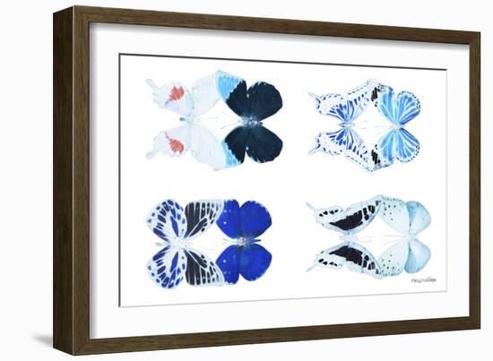 Miss Butterfly X-Ray Duo White VI-Philippe Hugonnard-Framed Photographic Print