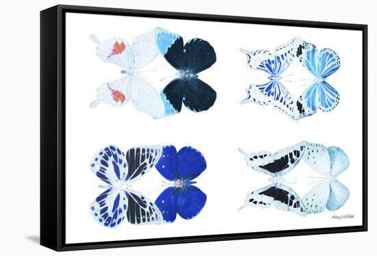 Miss Butterfly X-Ray Duo White VI-Philippe Hugonnard-Framed Stretched Canvas