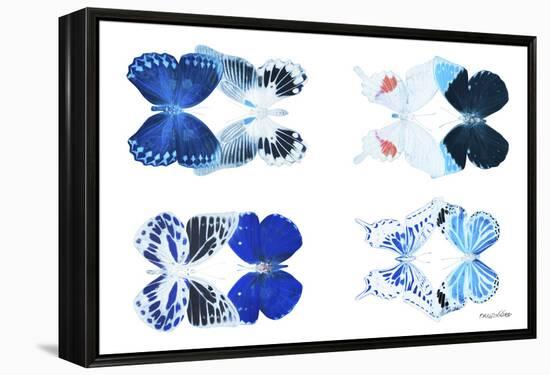 Miss Butterfly X-Ray Duo White VII-Philippe Hugonnard-Framed Premier Image Canvas