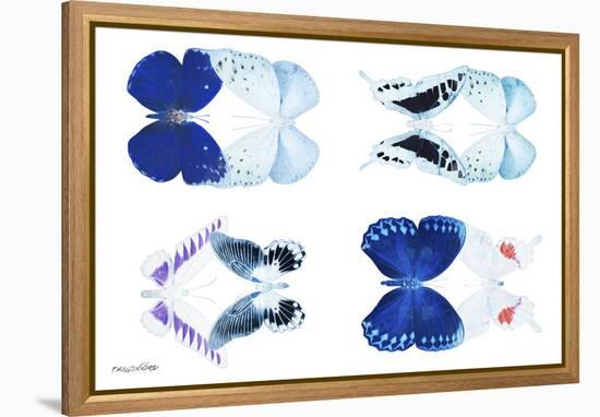 Miss Butterfly X-Ray Duo White-Philippe Hugonnard-Framed Premier Image Canvas