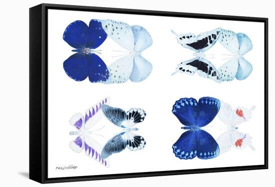 Miss Butterfly X-Ray Duo White-Philippe Hugonnard-Framed Stretched Canvas