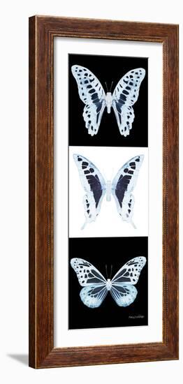 Miss Butterfly X-Ray Pano II-Philippe Hugonnard-Framed Photographic Print