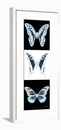 Miss Butterfly X-Ray Pano II-Philippe Hugonnard-Framed Photographic Print