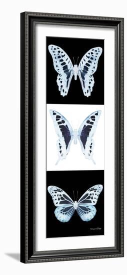 Miss Butterfly X-Ray Pano II-Philippe Hugonnard-Framed Photographic Print