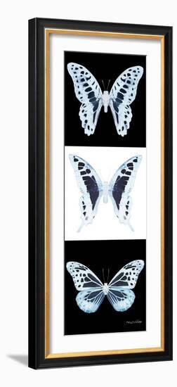 Miss Butterfly X-Ray Pano II-Philippe Hugonnard-Framed Photographic Print