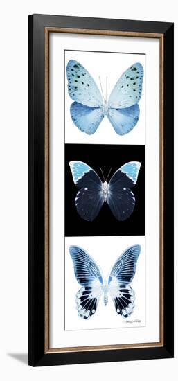 Miss Butterfly X-Ray Pano-Philippe Hugonnard-Framed Photographic Print