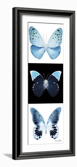 Miss Butterfly X-Ray Pano-Philippe Hugonnard-Framed Photographic Print