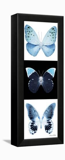 Miss Butterfly X-Ray Pano-Philippe Hugonnard-Framed Premier Image Canvas