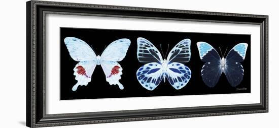 Miss Butterfly X-Ray Panoramic Black II-Philippe Hugonnard-Framed Photographic Print