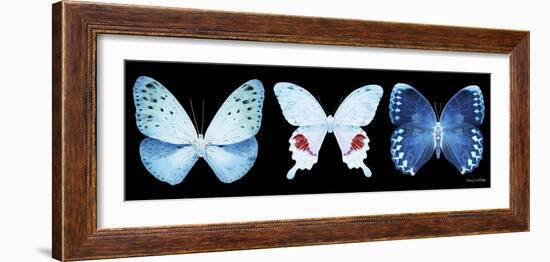 Miss Butterfly X-Ray Panoramic Black IV-Philippe Hugonnard-Framed Photographic Print