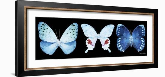 Miss Butterfly X-Ray Panoramic Black IV-Philippe Hugonnard-Framed Photographic Print